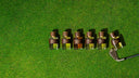 Woody Collection